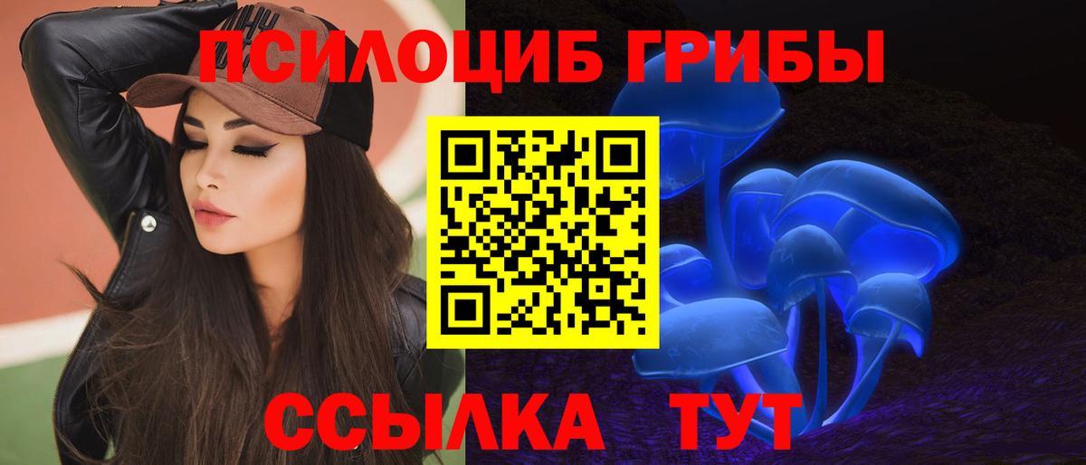 Галлюциногенные грибы Psilocybine cubensis Артёмовский